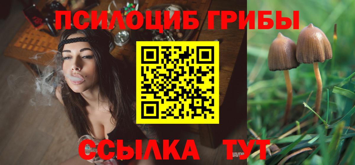 Железногорск  Псилоцибиновые грибы мицелий  Вход с VPN 